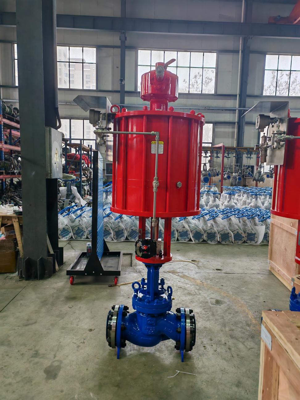 Globe Valves