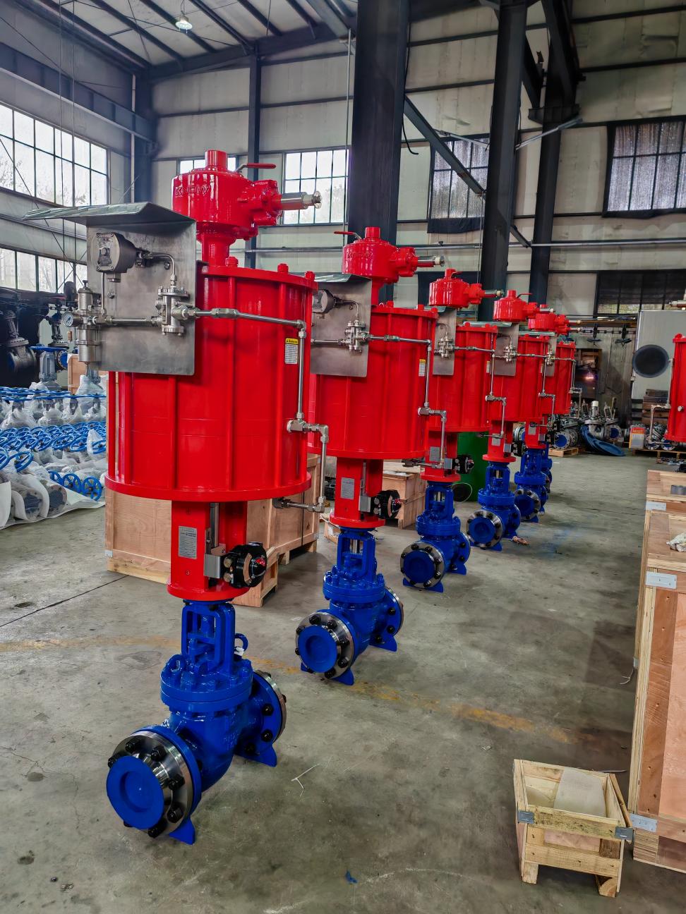 Globe Valves